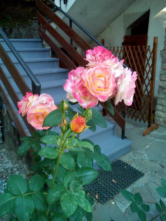 Bed and Breakfast M&G Ranch Vendaso Zewnętrze zdjęcie